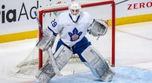 Toronto Marlies Goalie Andrew D’Agostini Reflects On The Road To Professional Hockey